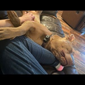 Meet your Posher, Shae